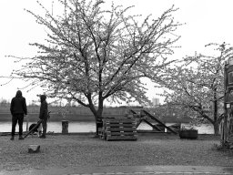 Holzpark Basel 28.03.2026