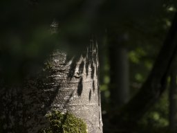 Kloster Schönthal - Hannah Häner
