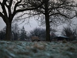 photoallschwil_thomasmueller_6